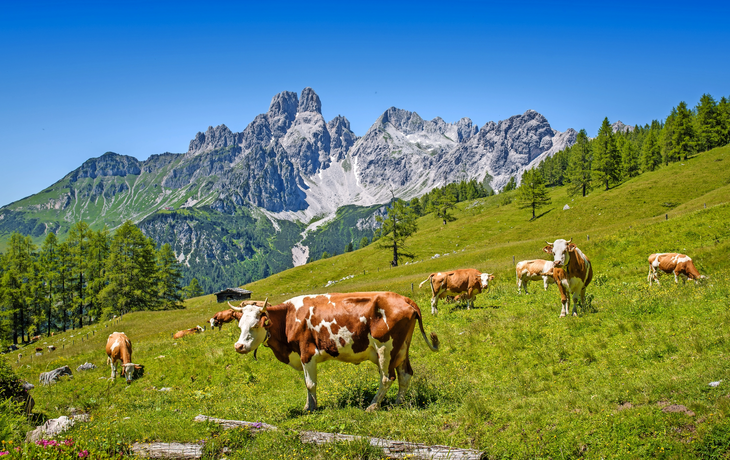 Berg Bischofsmütze, Filzmoos, Salzburger Land, Österreich