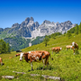 Berg Bischofsmütze, Filzmoos, Salzburger Land, Österreich