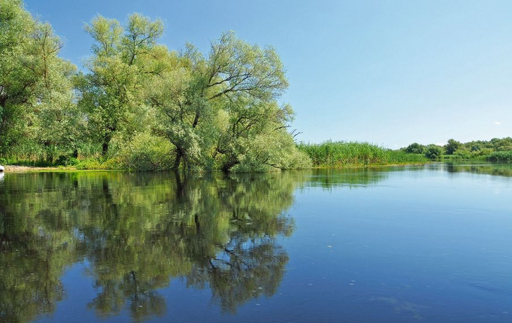 Hochwasser in einem Kanal im Donaudelta