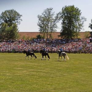 Dülmen