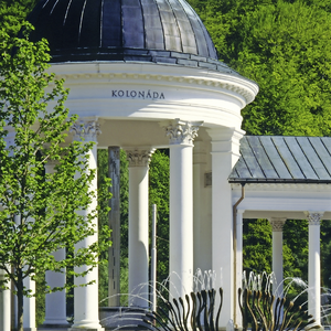 Nove Lázne Ensana Health Spa Hotel