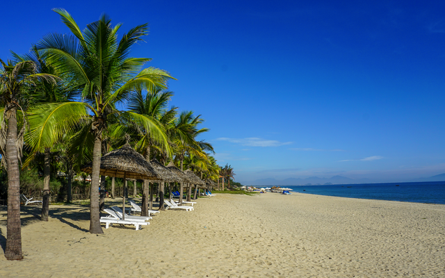 Strand mit Palmen und Liegen unter Strohdächern am Meer bei blauem Himmel.