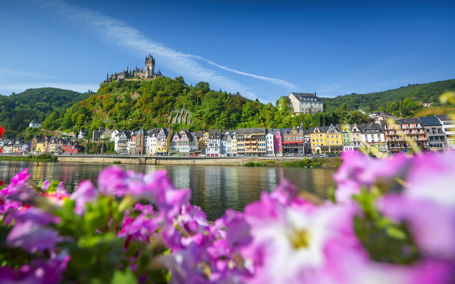 Burg auf Hügel mit Stadt und Blumen im Vordergrund.