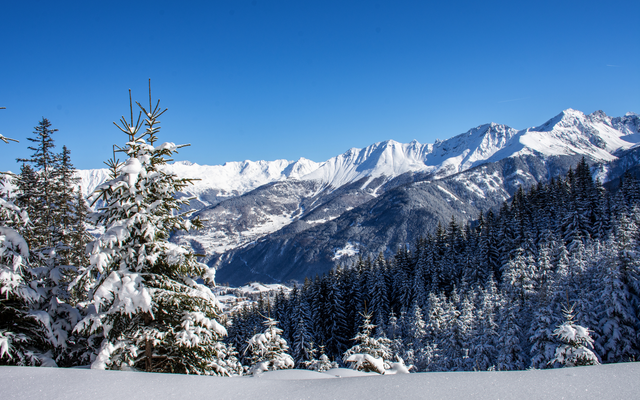 Verschneite Berglandschaft mit Tannenbäumen unter blauem Himmel.