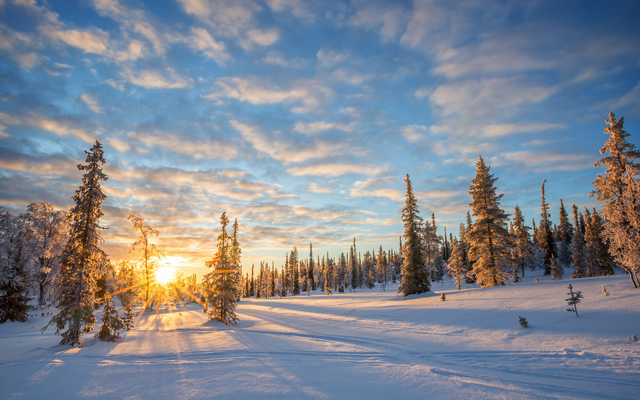 Verschneite Winterlandschaft mit Sonne hinter Bäumen im Hintergrund.