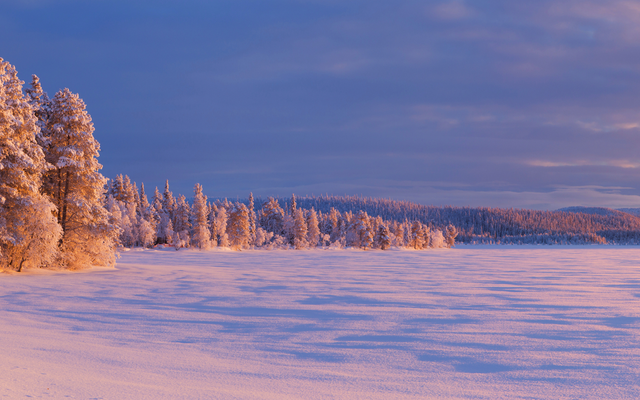 Verschneite Landschaft mit Bäumen und weitem Himmel bei Sonnenuntergang.