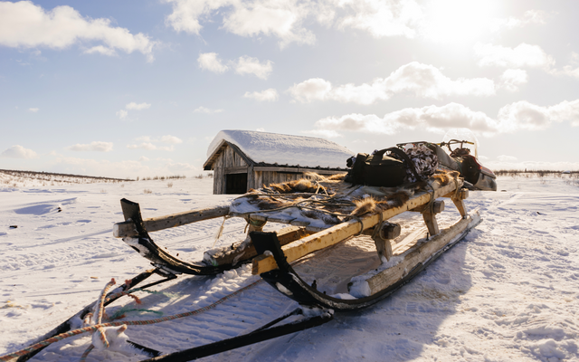 Schlitten auf schneebedecktem Feld, im Hintergrund eine Holzhütte bei sonnigem Wetter.