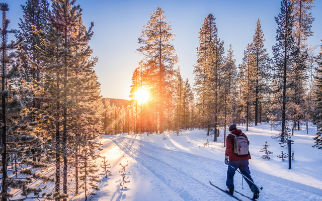 Eine Person beim Skifahren durch einen verschneiten Wald bei Sonnenuntergang.