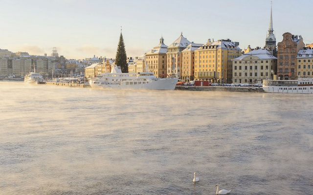 Winterliche Stadtansicht von Stockholm mit Gebäuden am Wasser und zwei Schwänen.
