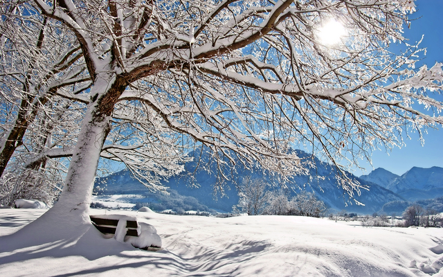 Verschneite Landschaft mit Baum, Bank und Blick auf Berg bei Sonnenschein.