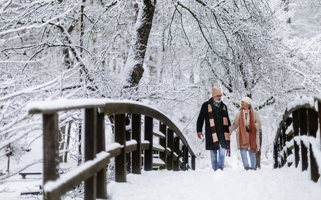 Älteres Paar spaziert im Winter über eine schneebedeckte Brücke im Wald.