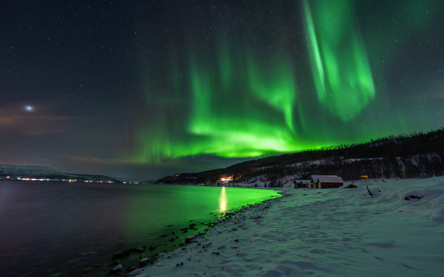 Aurora Borealis über einer verschneiten Küstenlandschaft bei Nacht.