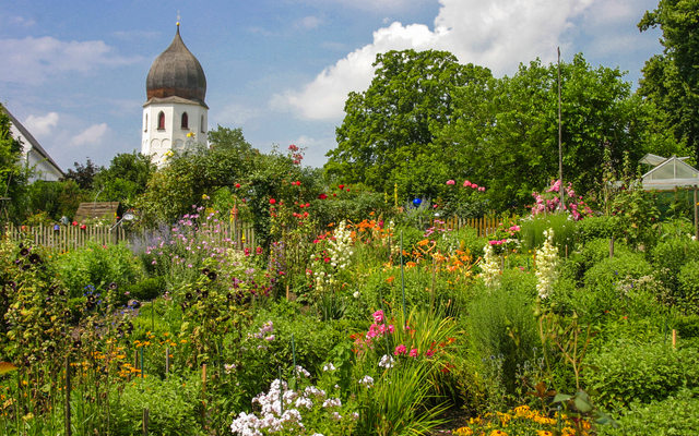 Blühender Garten mit Kirchturm im Hintergrund an einem sonnigen Tag.