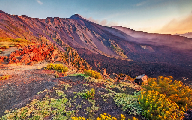 Berglandschaft mit Lavagestein und blühender Vegetation im Sonnenuntergang.