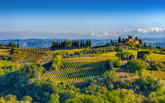 Hügelige Landschaft mit Weinbergen und einem Bauernhaus unter blauem Himmel.