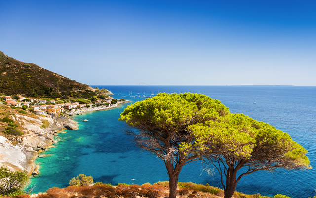 Küste mit türkisfarbenem Meer, Hügeln und Bäumen unter blauem Himmel.