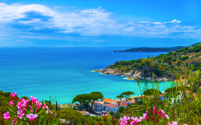 Küstenausblick auf blaues Meer und blühende Pflanzen im Vordergrund.