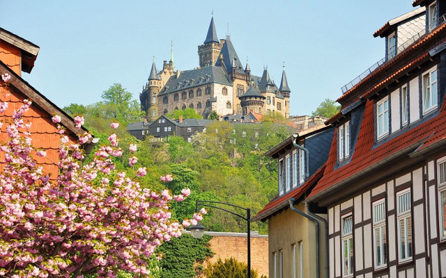 Schloss auf Hügel mit Fachwerkhäusern und blühenden Bäumen im Vordergrund.