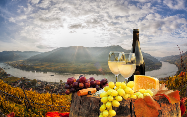 Wein, Trauben, Käse und Landschaft mit Fluss und Bergen im Hintergrund.
