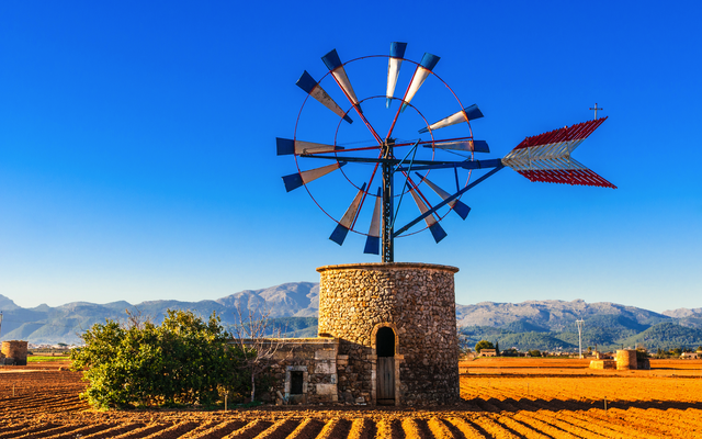 Traditionelle Windmühle auf Mallorca, inmitten von landwirtschaftlichem Feld vor blauem Himmel.