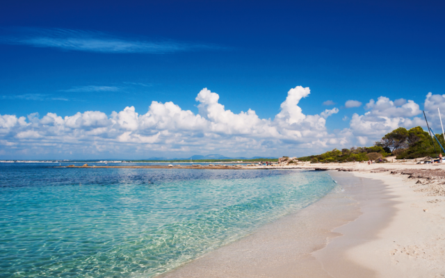 Sandstrand mit klarem Wasser und blauem Himmel, im Hintergrund Bäume und Wolken.
