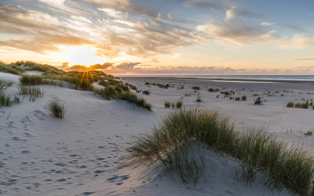 Stranddünen mit Gräsern bei Sonnenuntergang am Meer.