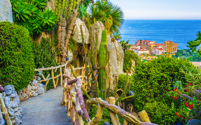 Weg mit exotischen Pflanzen im Jardin Exotique de Monaco, im Hintergrund das Mittelmeer.