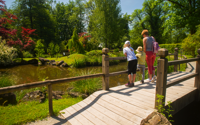 Drei Personen auf einer Holzbrücke im grünen Park.