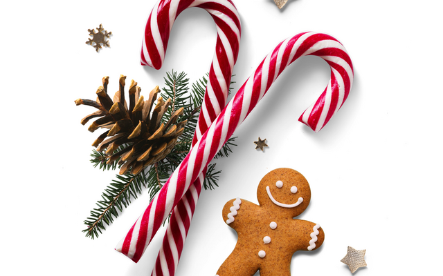 Zwei Zuckerstangen, Tannenzapfen, Lebkuchenmann, kleine Sterne auf weißem Hintergrund.