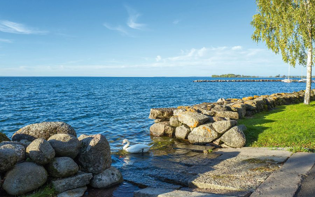 Steinige Küste mit Schwan im Wasser, blauer Himmel im Hintergrund.
