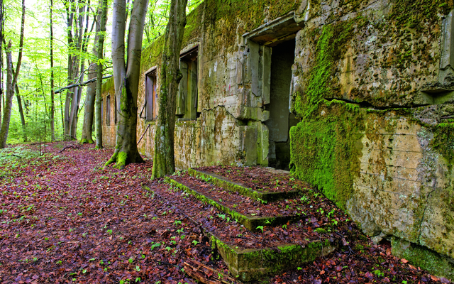 Verfallenes, moosbewachsenes Gebäude im grünen Wald.