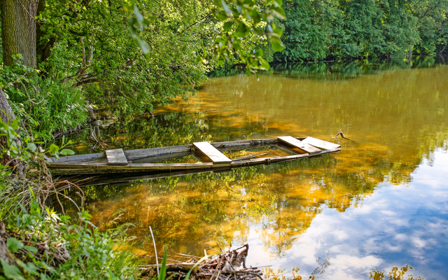 Altes Holzboot im ruhigen Waldsee treibend, umgeben von grünen Bäumen.
