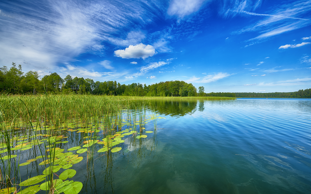 Ein Sommertag auf der Masurischen Seenplatte in Polen mit Sümpfen, Wasser, Wald und Inseln.
