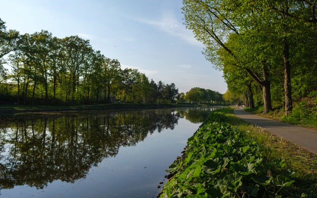 Fluss mit Bäumen am Ufer und einem Weg unter blauem Himmel.