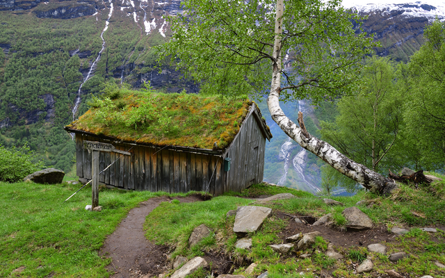 Holzhütte mit Grasdach vor Berglandschaft und Birkenbaum.