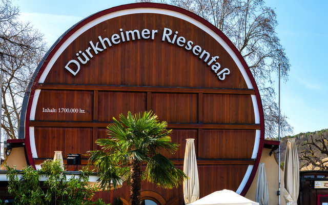 Dürkheimer Riesenfass mit Pflanzen und Sonnenschirmen im Vordergrund.