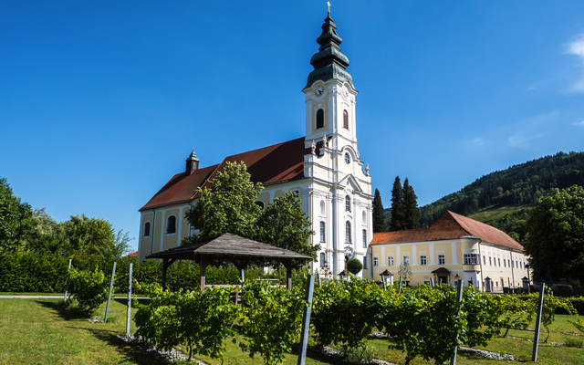 Kirche neben Weingarten mit blauem Himmel und grüner Landschaft.