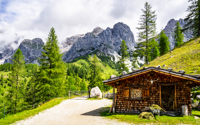Holzhütte in den Alpen mit Bergkulisse und grüner Vegetation.