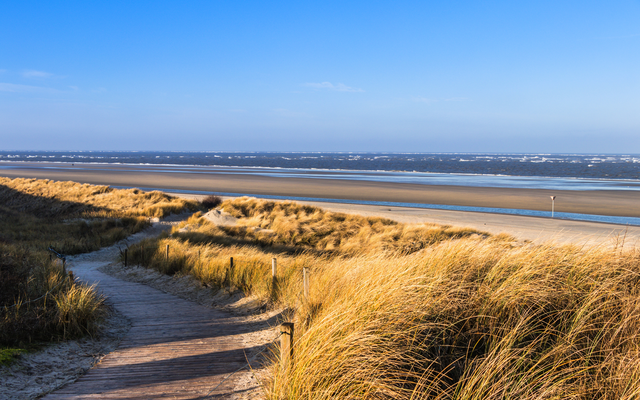 Holzweg durch Dünen zu einem breiten, sandigen Strand unter blauem Himmel.