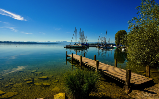 Holzsteg am See mit Segelbooten, klarem Himmel und Bäumen im Hintergrund.