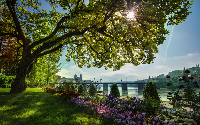 Flussufer mit Baum, Blumen, Brücke und Sonne im Hintergrund.