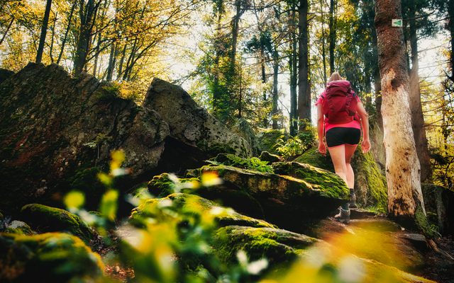 Junge Frau beim Wandern mit Rucksack in einem Waldgebiet im Bayerischen Wald.