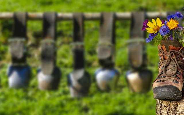 Wanderstiefel mit Blumen auf Baumstumpf, Kuhglocken im Hintergrund.