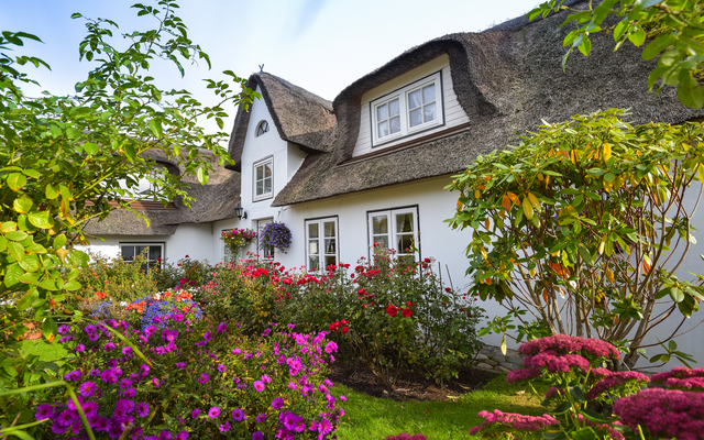Reetgedecktes Haus mit üppigem Blumengarten.
