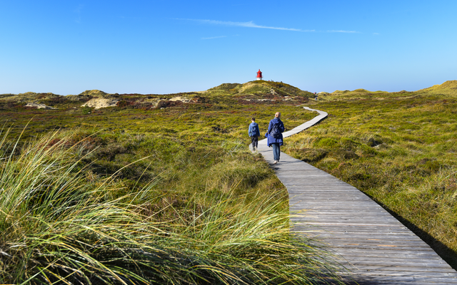 Zwei Personen wandern auf einem Holzsteg durch eine Dünenlandschaft mit Leuchtturm.