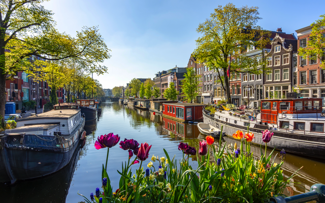 Kanal in Amsterdam mit Hausbooten und blühenden Tulpen im Vordergrund.