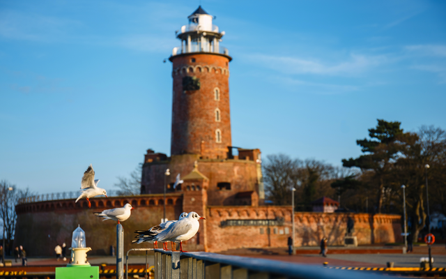 Möwen sitzen auf einem Geländer vor einem Leuchtturm.