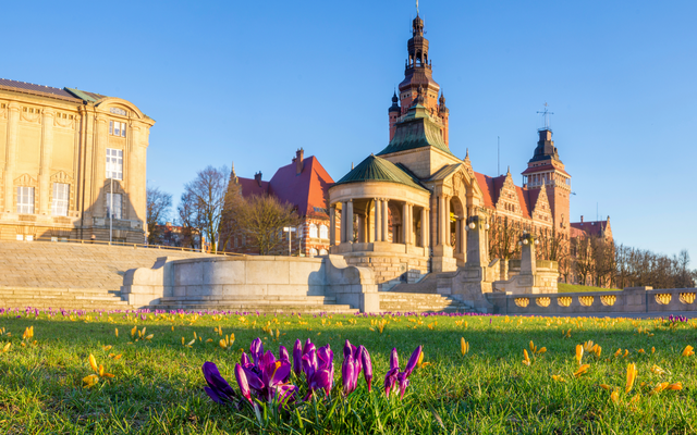 Historisches Gebäude bei Sonnenuntergang mit violetten Krokussen im Vordergrund.