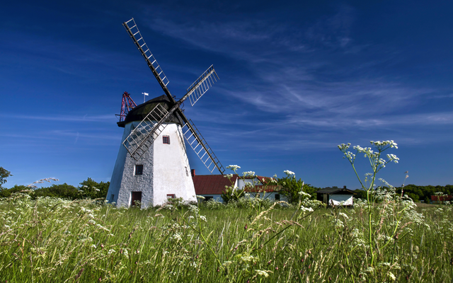 Weißes Windrad in grüner Landschaft unter blauem Himmel