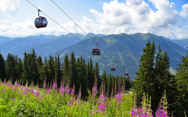 Seilbahn in den Bergen über Wäldern und blühenden Wiesen bei Sonnenschein.